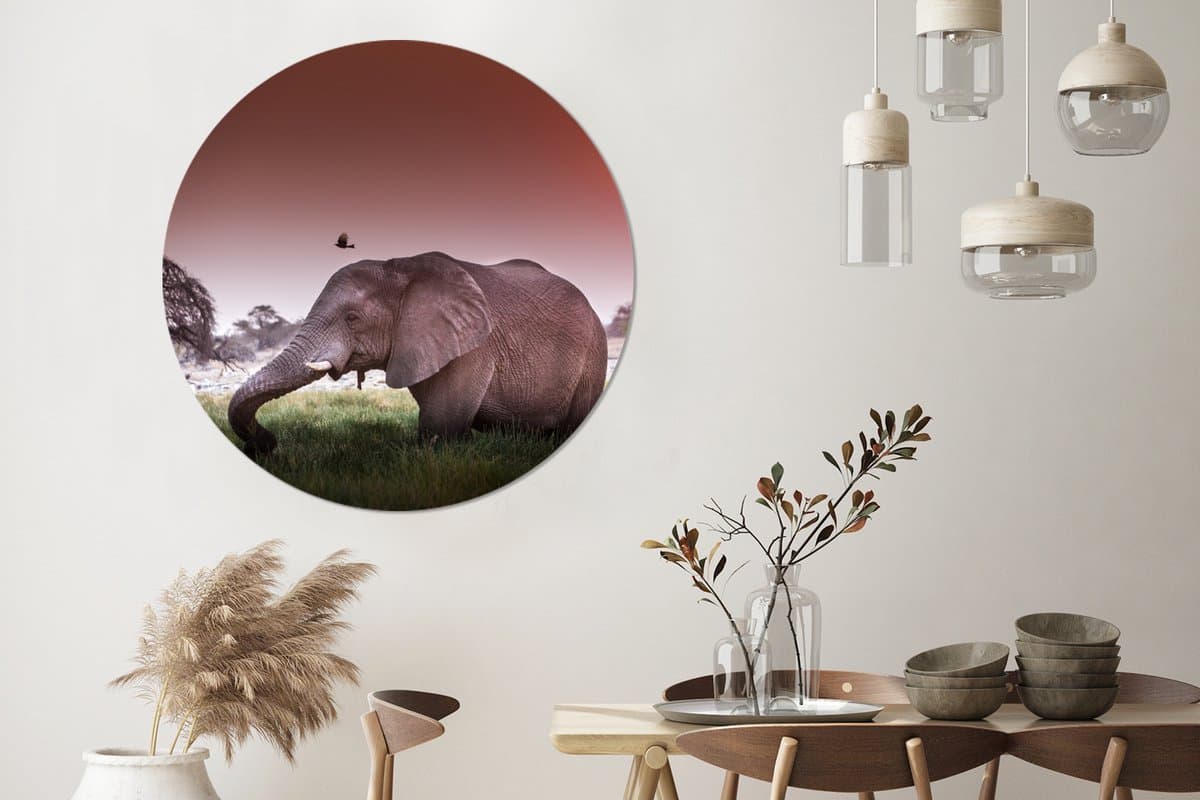 WallCircle - Wandcirkel - Muurcirkel - Olifant - Gras - Zon - Dieren - Aluminium - Dibond - 140x140 cm - Binnen en Buiten