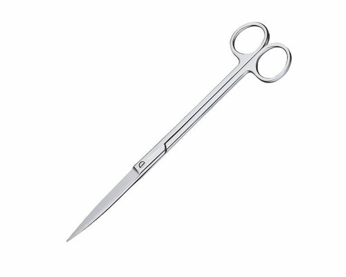 CHIHIROS SCHAAR RECHT 21 CM