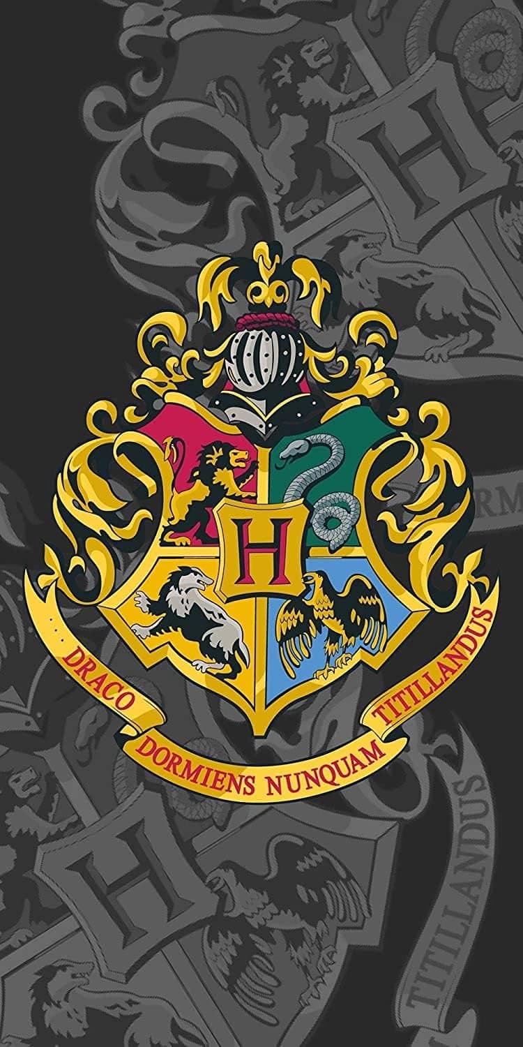 Harry Potter Strandlaken - zwart - 70 x 140 cm