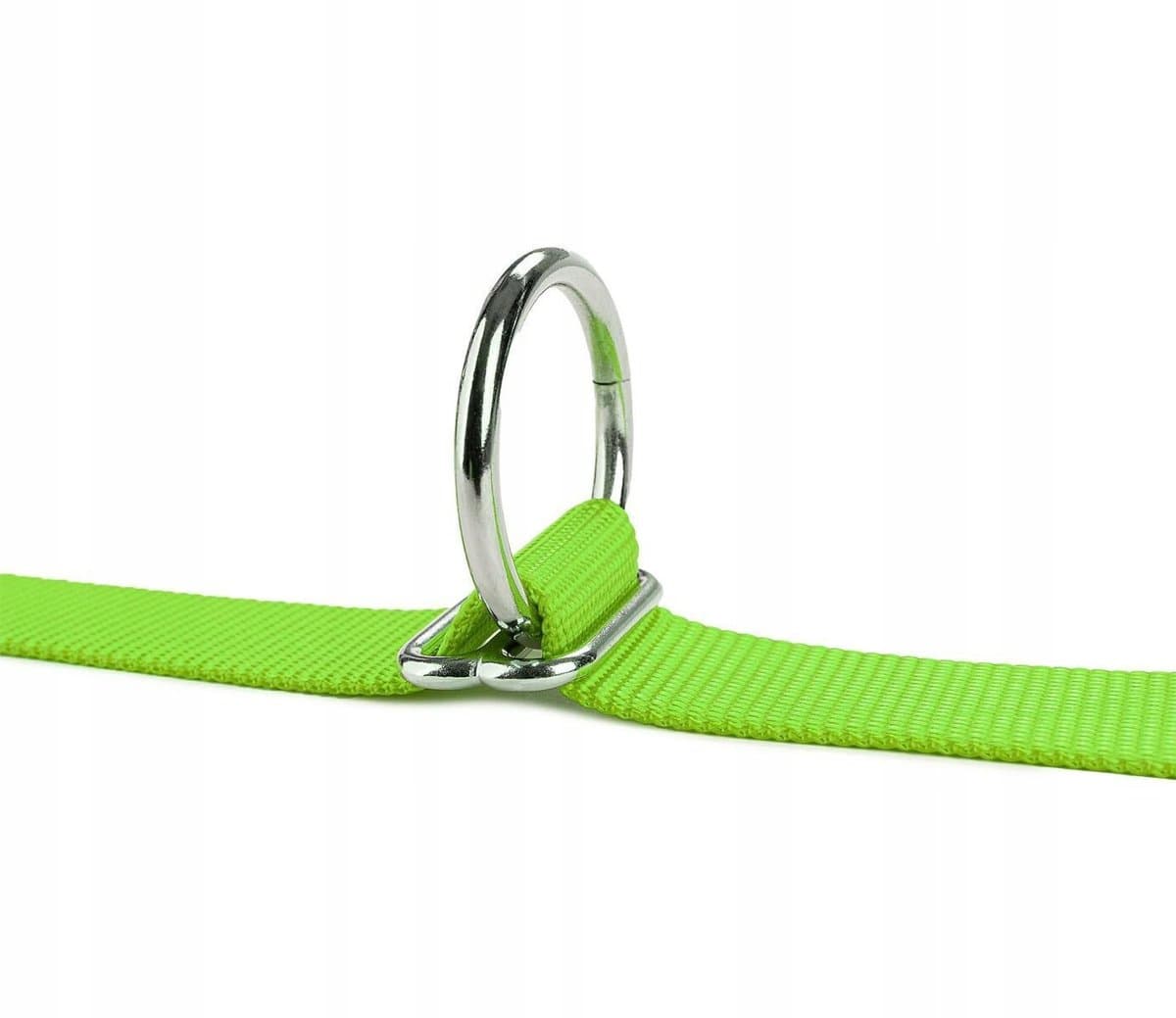 Verstelbare Nylon Hondenlijn L Limon, 3m