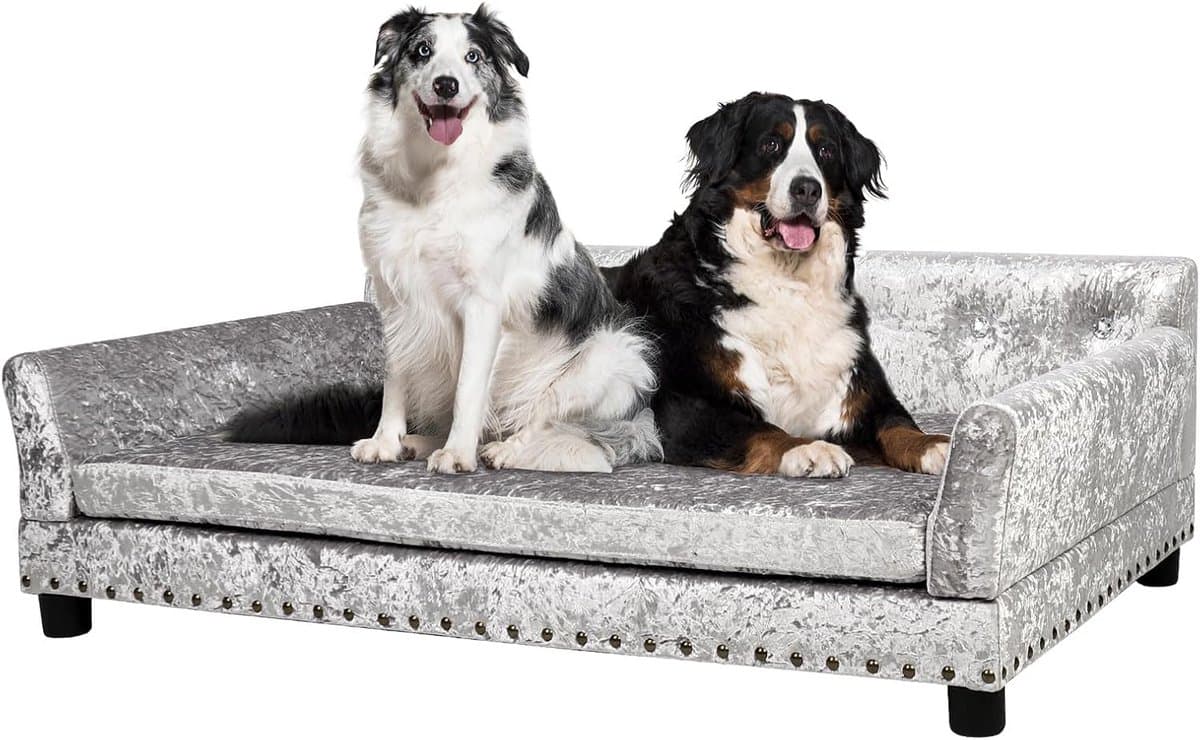 Luxe Fluvelen Hondensofa XXL: Verhoogd Huisdierbed met Zacht Kussen voor Grote Honden