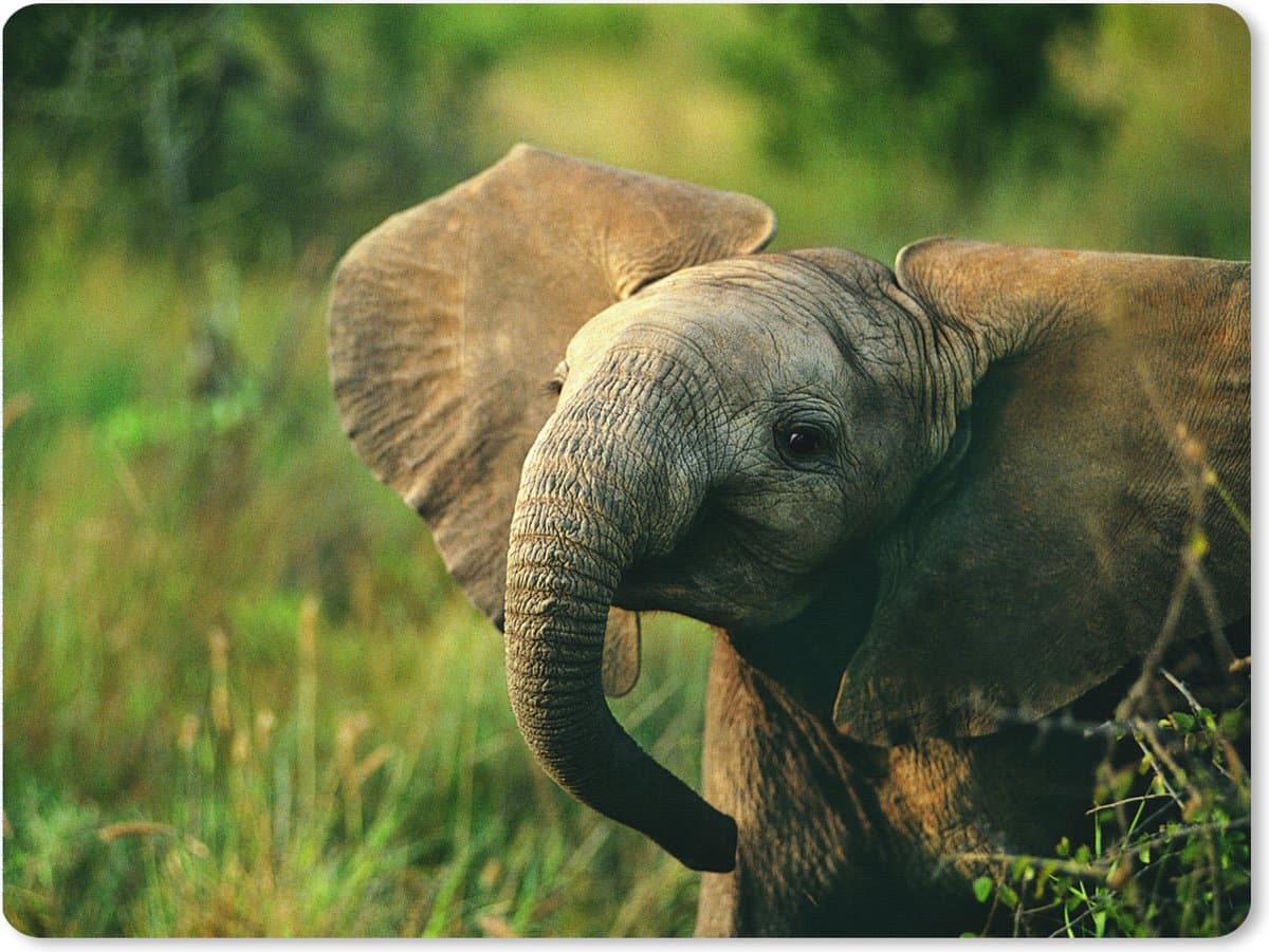 Muismat XXL 80x60 cm - Bureau onderlegger - Bureau mat Olifant - Groen - Dieren - Natuur - Bureaumat - Gaming mousepad xl - Bureaulegger groot - Computer deskmat