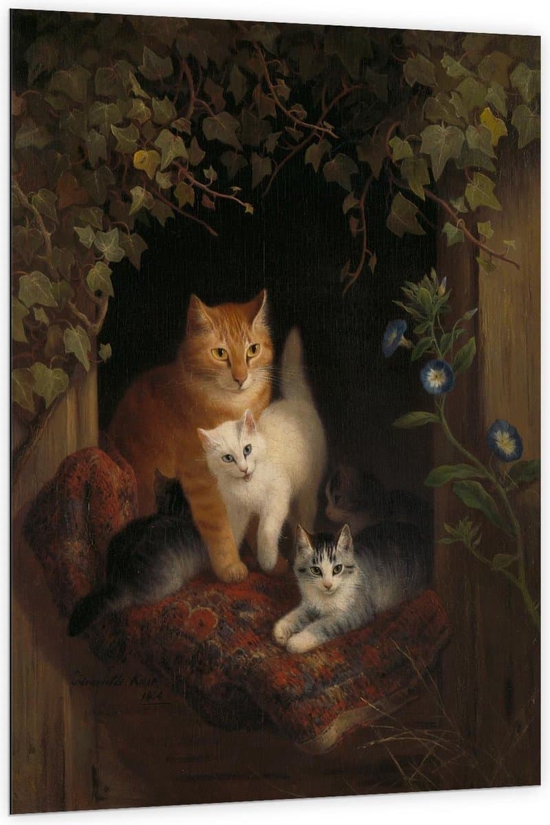 Dibond - Schilderij Katten in Huisje - 100x150cm Foto op Aluminium (Wanddecoratie van metaal)