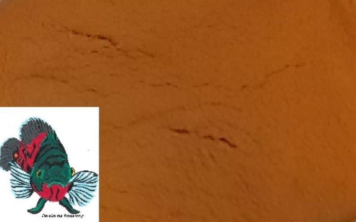 artemia vervanger 0,2/0,3 mm ( 500 ml  )