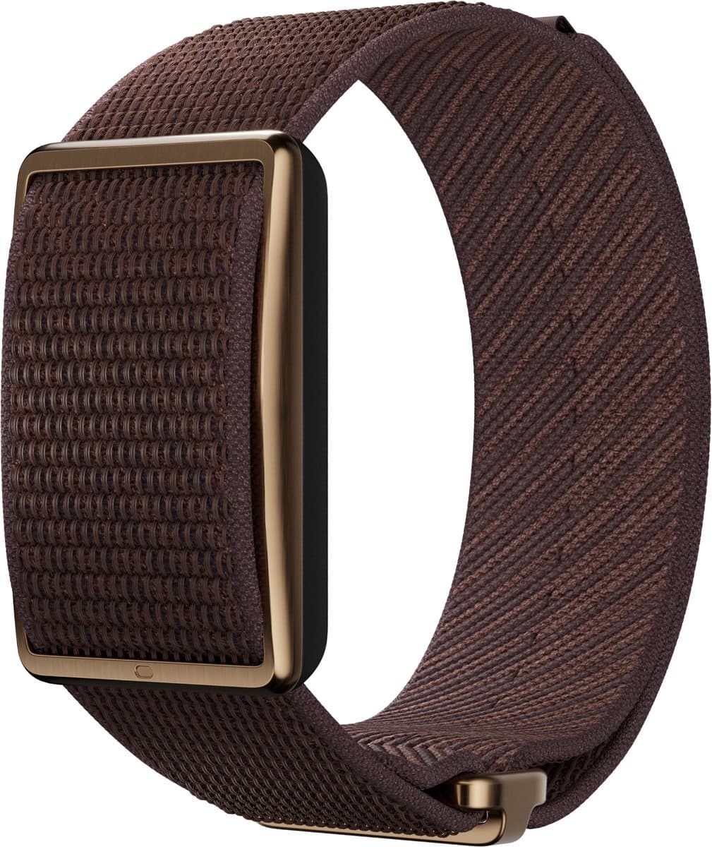 Polar Loop Bruin