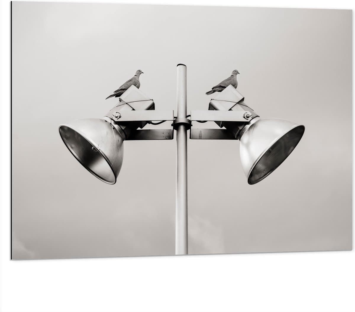Dibond - Grote Speakers op Paal - 100x75 cm Foto op Aluminium (Wanddecoratie van metaal)
