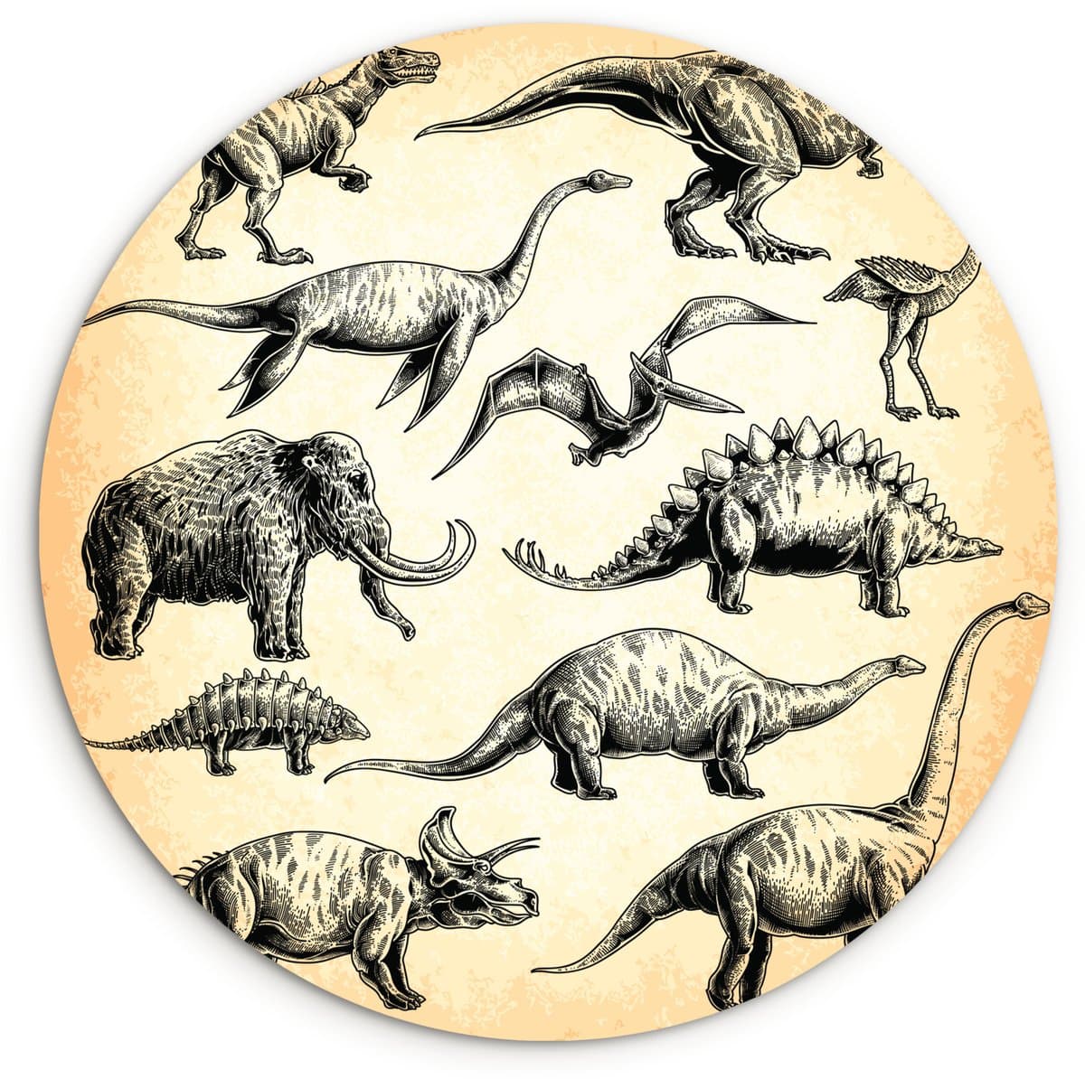 WallCircle® Wandcirkel 120x120 cm - Muurcirkel Illustratie - Kinderen - Dinosaurussen - Muurdecoratie woonkamer - Wanddecoratie slaapkamer - Kamer decoratie accessoires - Ronde schilderijen XXL