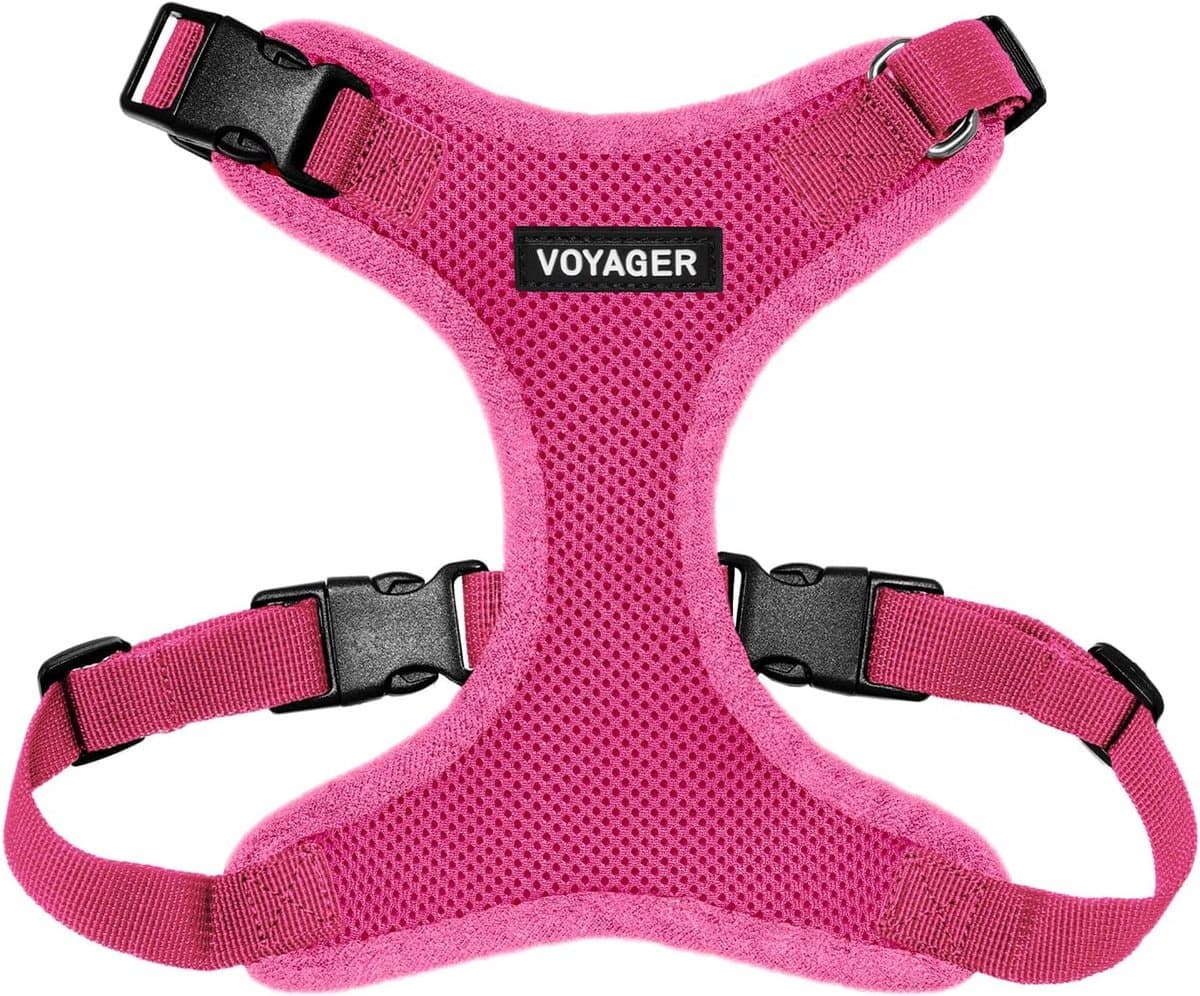 Huisdier Harnas - Instap Tuigje - Veilige Wandelingen - Volledig Verstelbaar - Maat L - Fuchsia