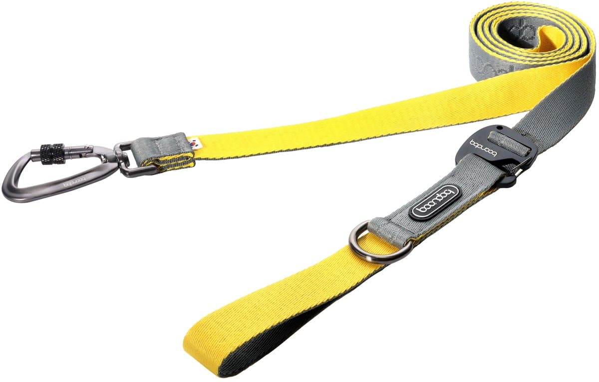 Boondog Hondenriem 3.2m - Verstelbaar - Multifunctioneel - Extra Sterke Nylon Riem - Meer Bewegingsvrijheid - Karabijnhaak - Gray/Lemon - Maat L