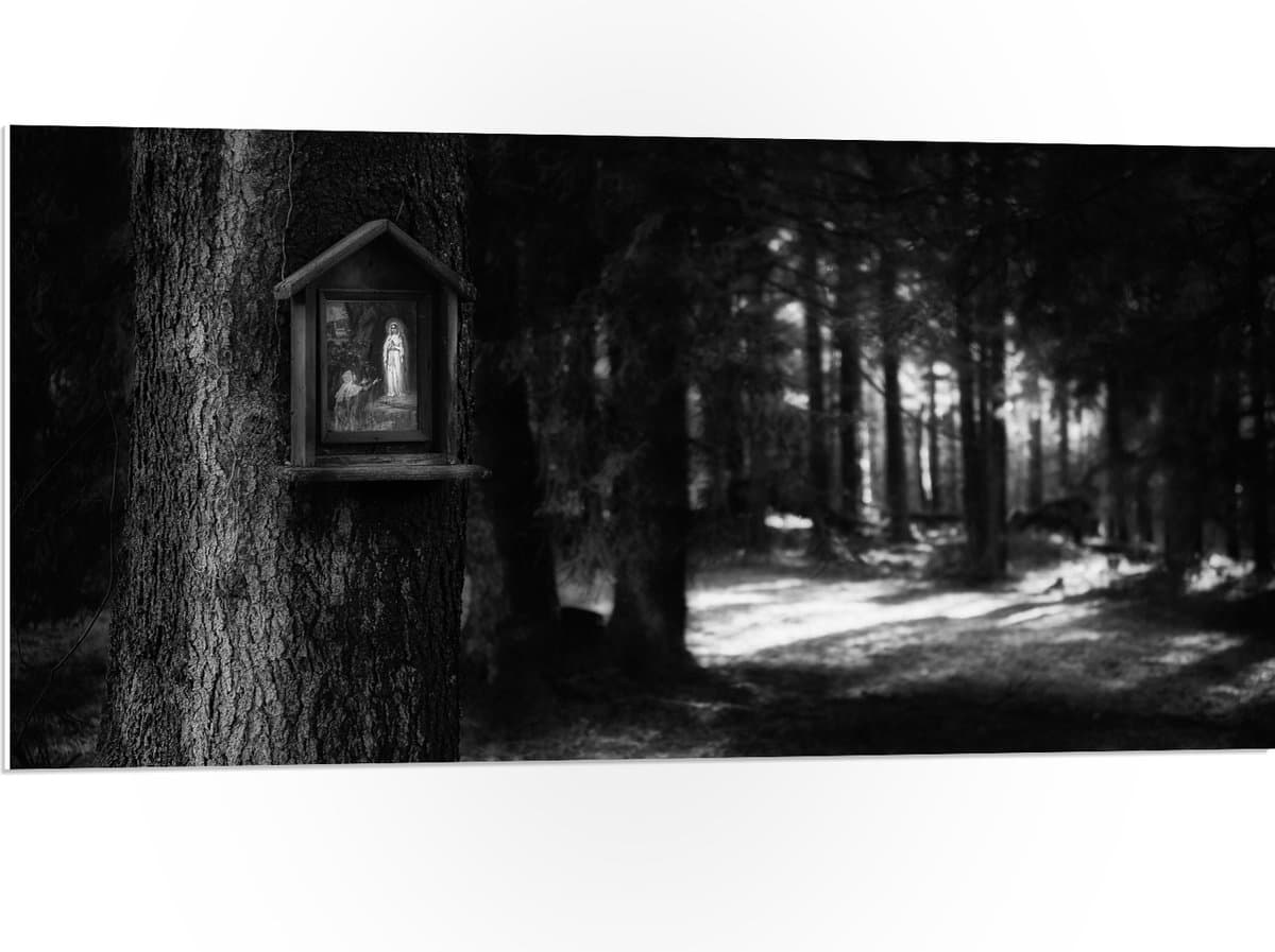 PVC Schuimplaat- Bossen - Bomen - Vogelhuisje - Zwart - Wit - 100x50 cm Foto op PVC Schuimplaat