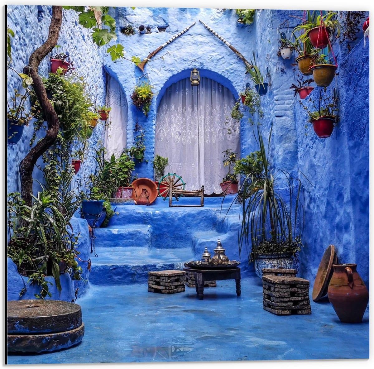 Dibond - Blauw Plantenhoekje - 50x50cm Foto op Aluminium (Met Ophangsysteem)