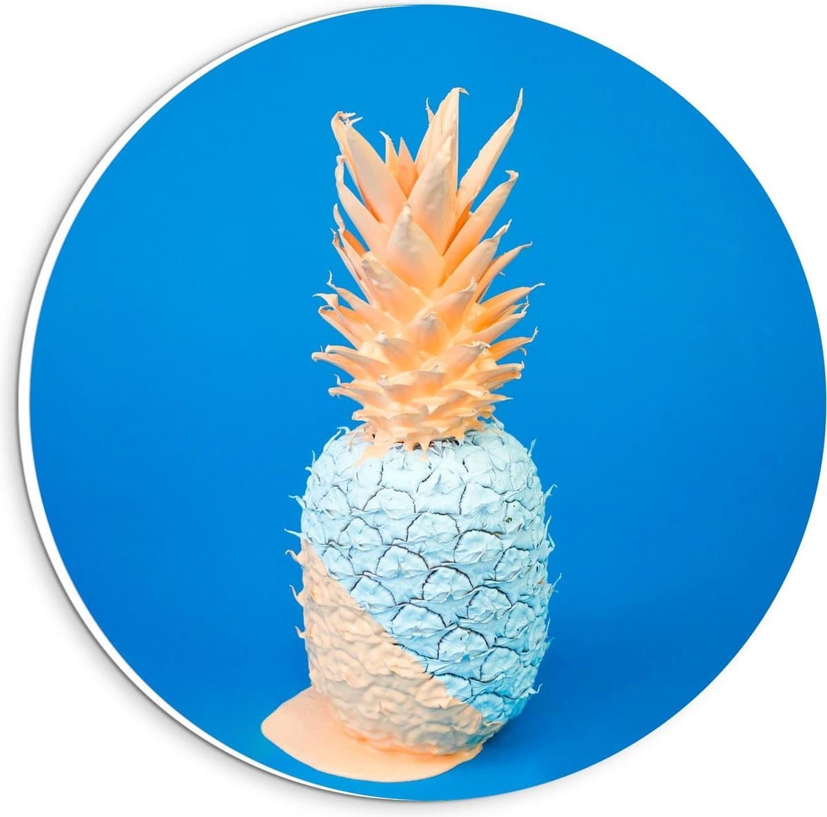 Forex Wandcirkel - Blauw/Roze Ananas - 20x20cm Foto op Wandcirkel (met ophangsysteem)