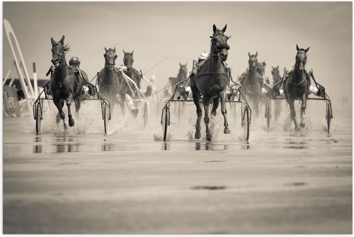 Poster Glanzend – Groep Rennende Paarden (zwart- wit) - 60x40 cm Foto op Posterpapier met Glanzende Afwerking