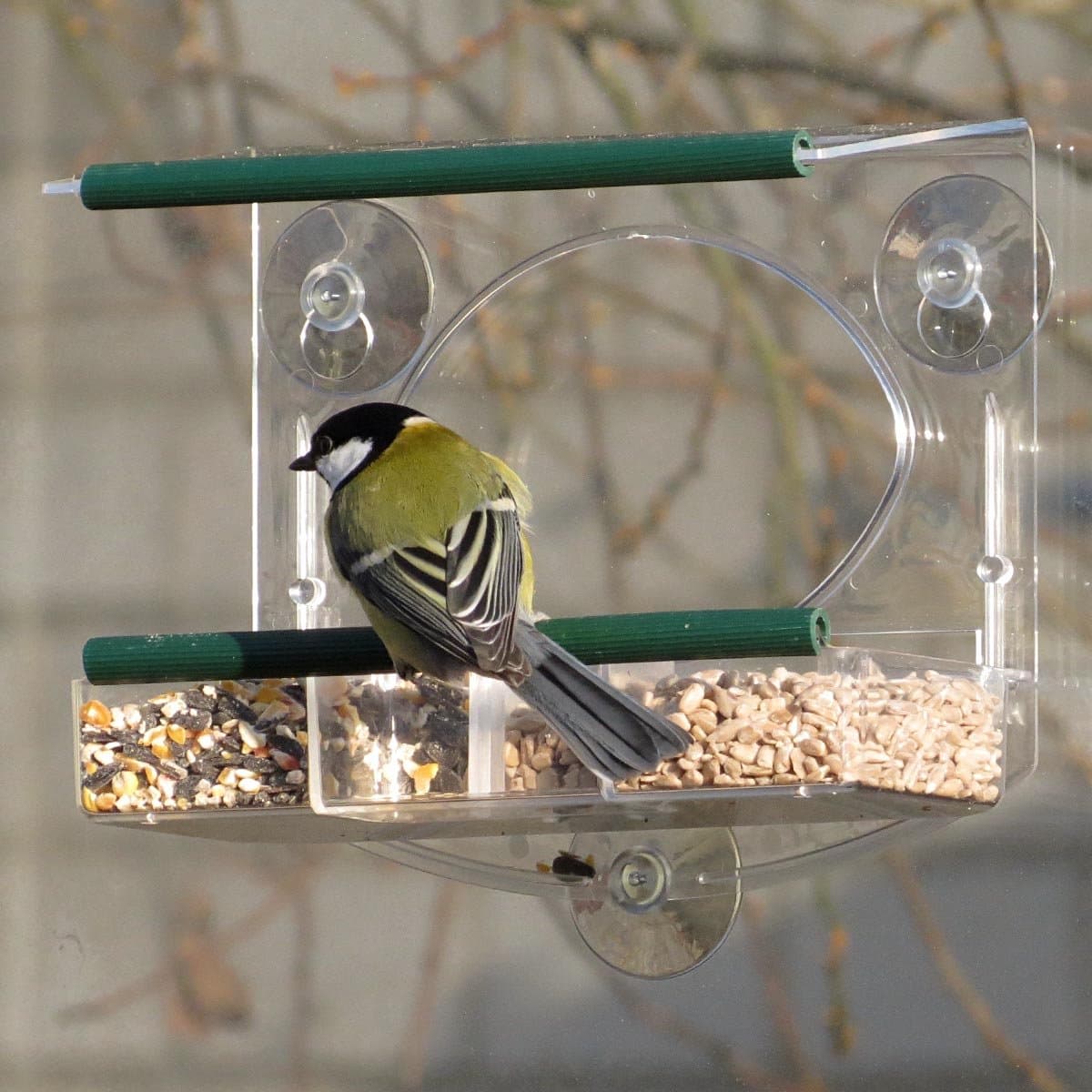 Aniculis Raamvoederhuis Bolmso Birdfeeder - transparant kunststof - eenvoudige montage - raambevestiging