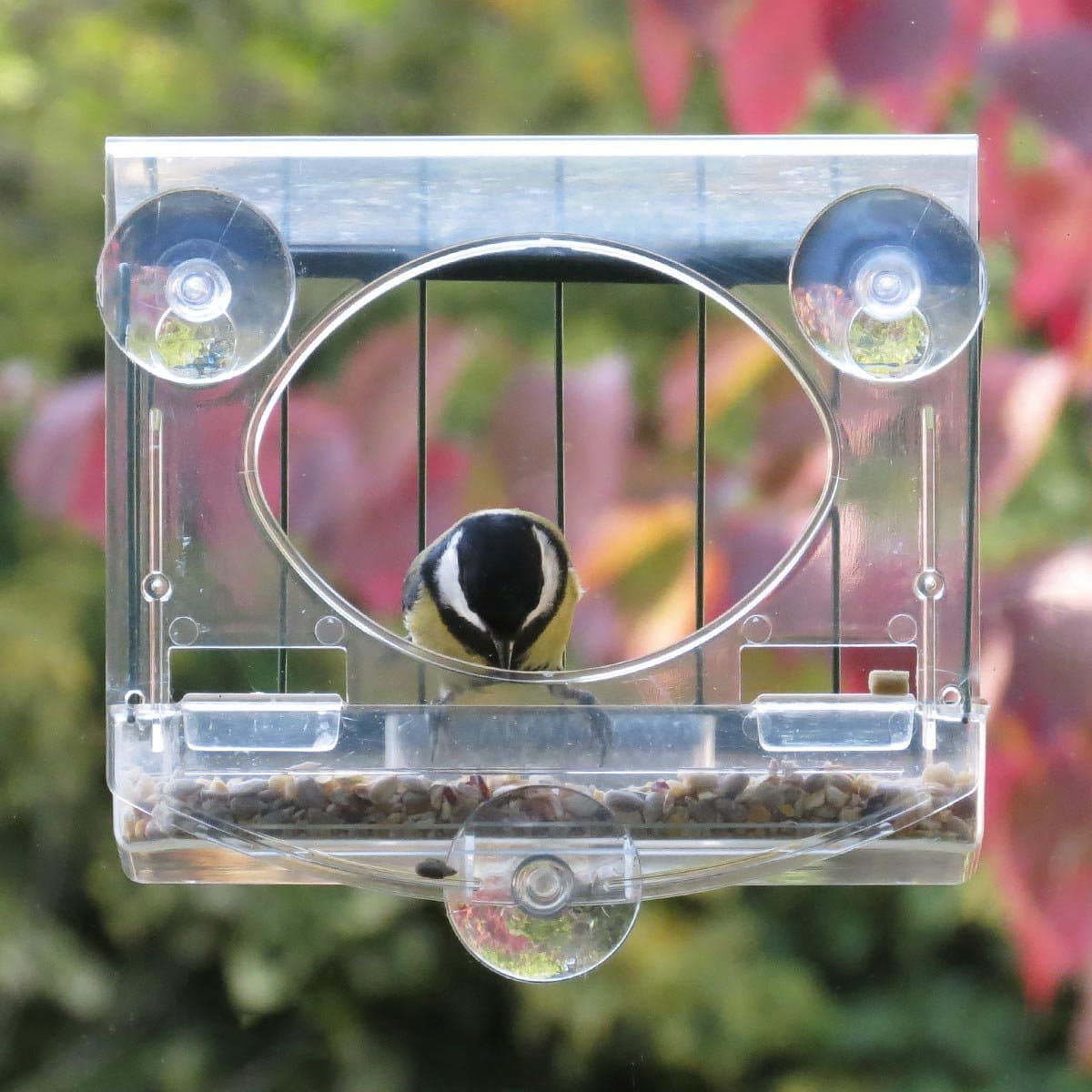 Aniculis Raamvoederhuis Bolmso Birdfeeder - transparant kunststof - inclusief zuignappen & beschermkooi