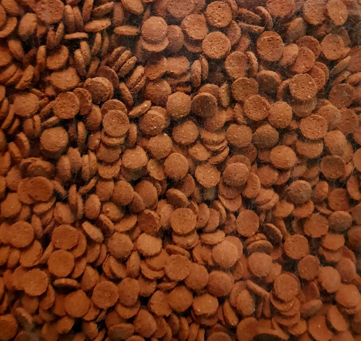 Mini wafel colour ( 1 L )
