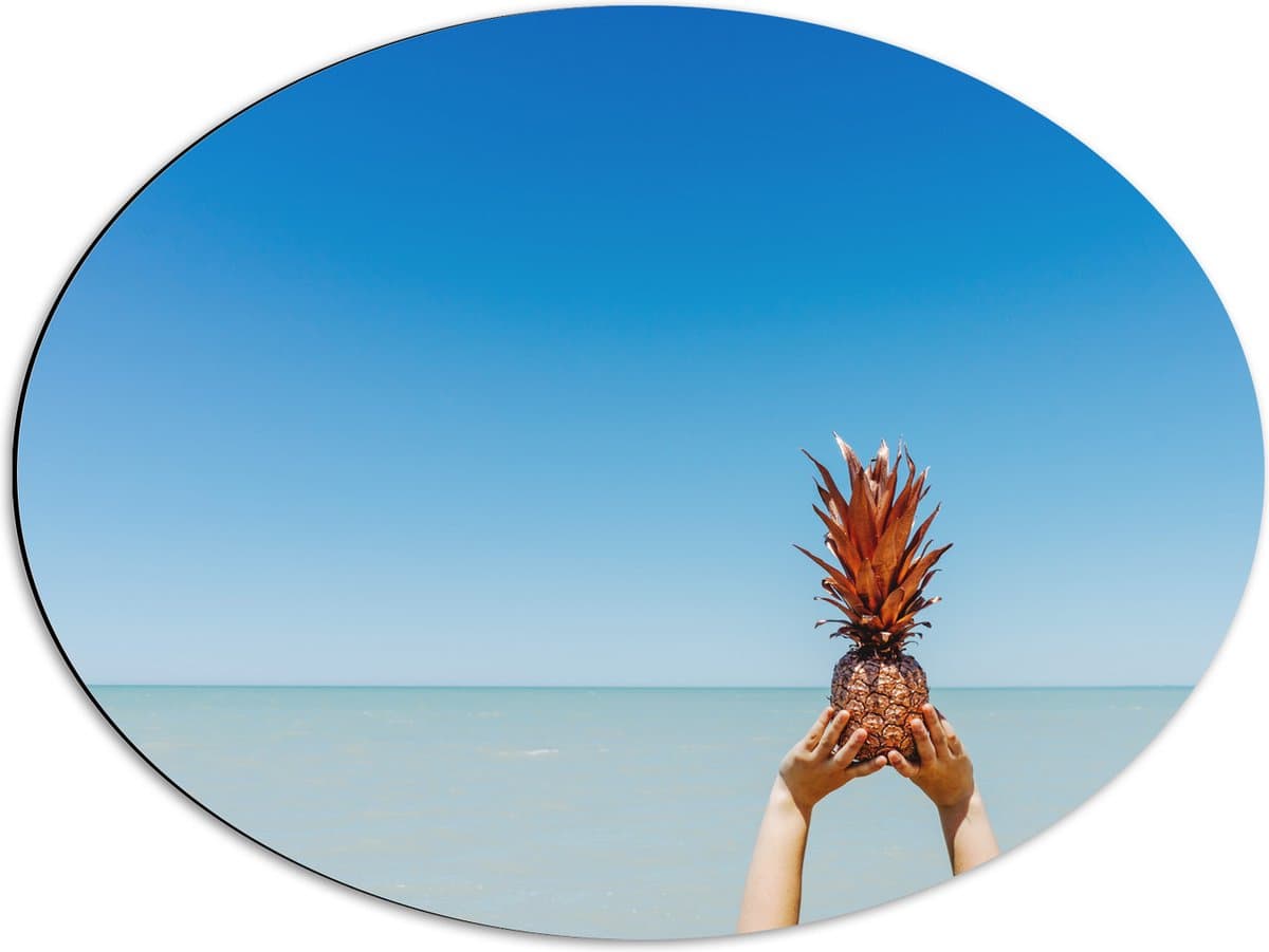 Dibond Ovaal - Ananas boven de Zee - 68x51 cm Foto op Ovaal (Met Ophangsysteem)