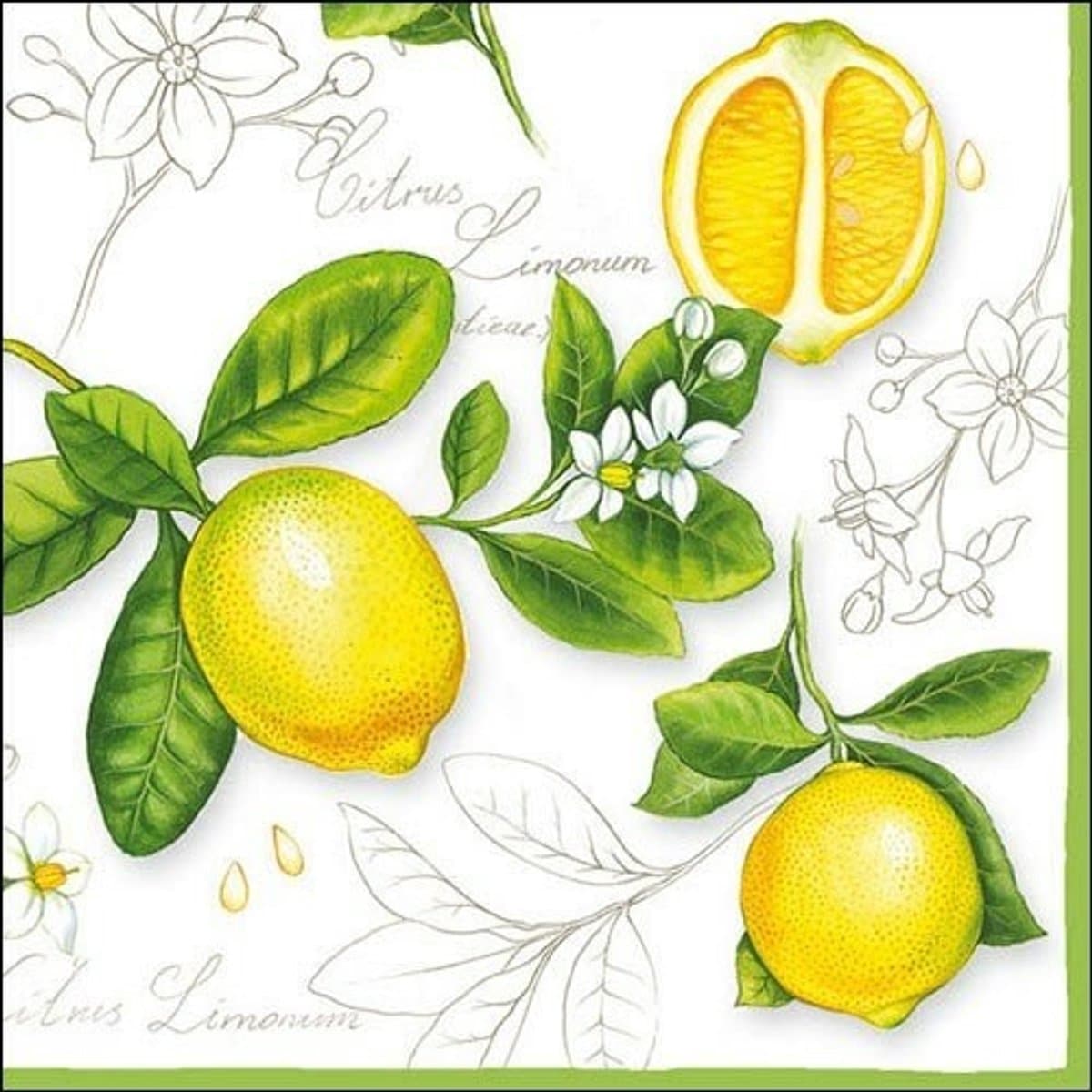 Ambiente - Lunch servetten - Citrus Limonum