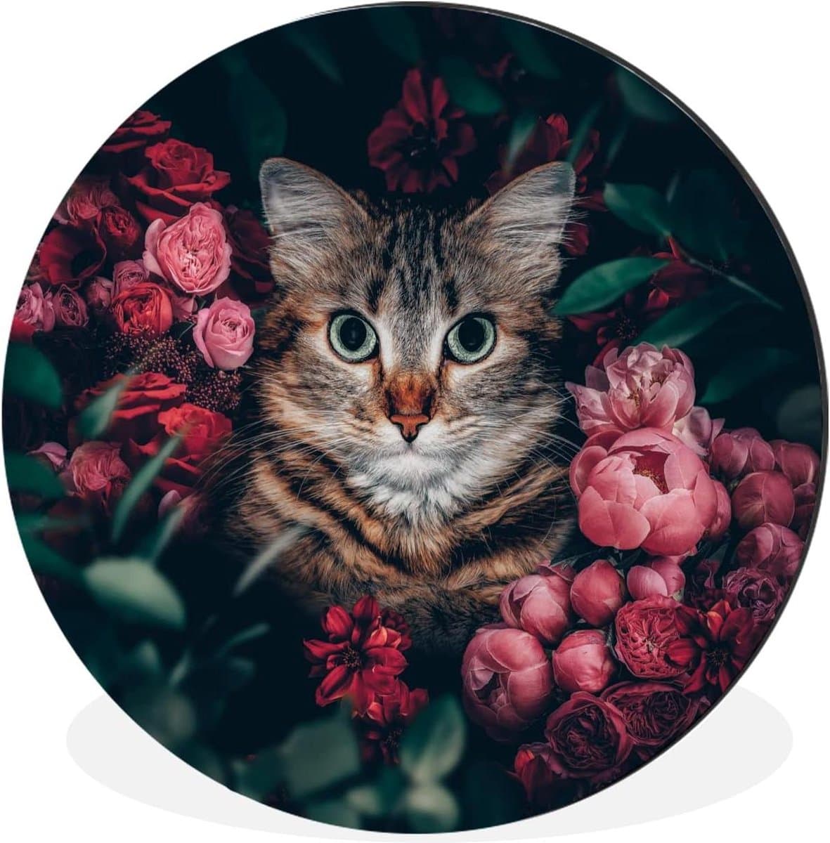 Wandcirkel Kat - Muurdecoratie Rond - Woonruimte Verfraaien - Hoge Kwaliteit Dibond - 90x90 cm - Multi
