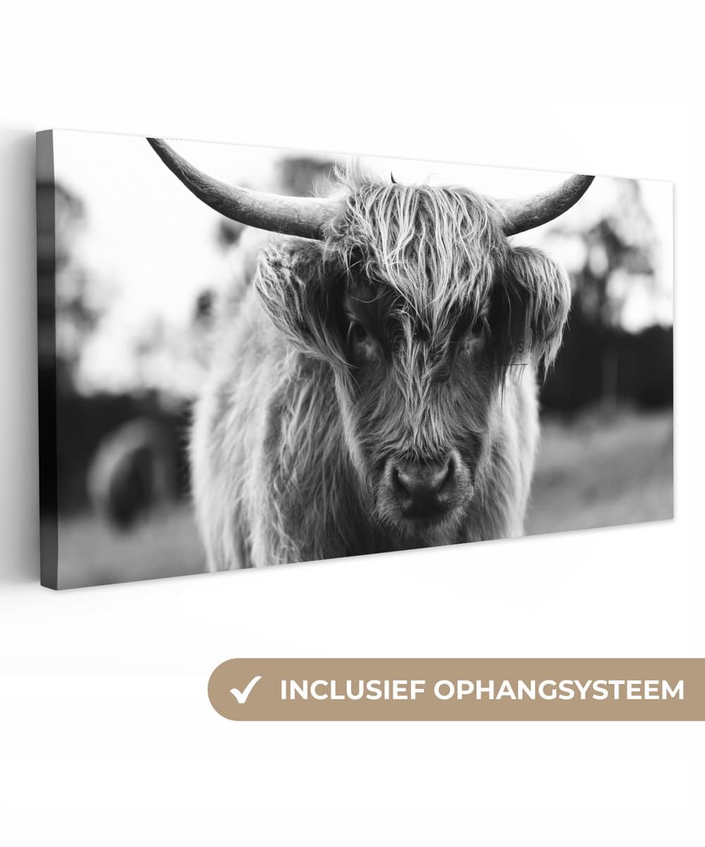 Canvas schilderij 80x40 cm - Wanddecoratie Schotse Hooglander - Koe - Gras - Dieren - Natuur - Muurdecoratie woonkamer - Slaapkamer decoratie - Kamer accessoires - Schilderijen op canvas