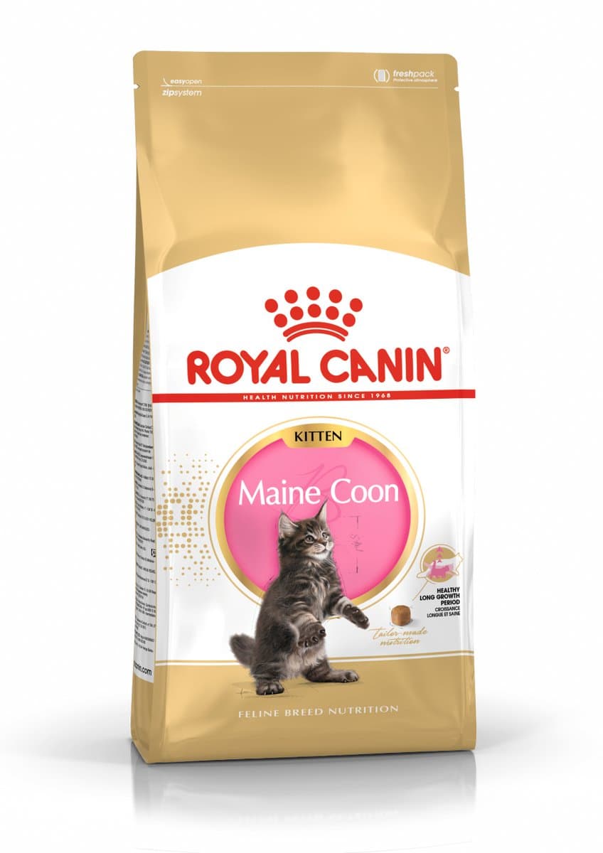Royal Canin Maine Coon Kitten - 4 kg - Kitten-Kattenvoer