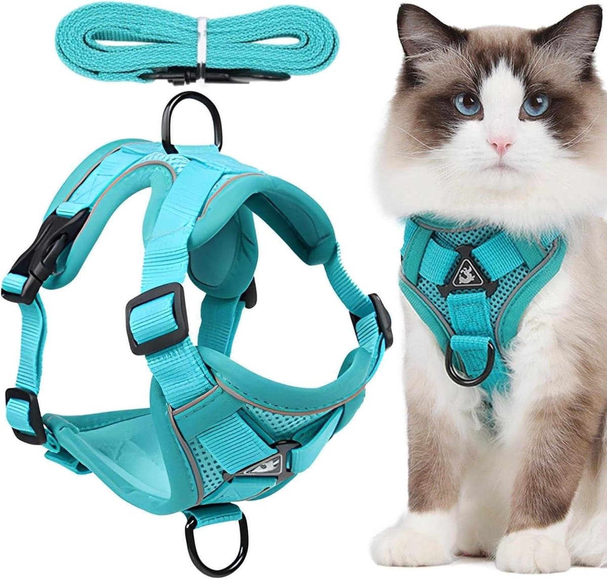 Kattentuig - Kitten harnas - Buitenavonturen - Ontsnappingsbestendig - Verstelbaar - Blauw