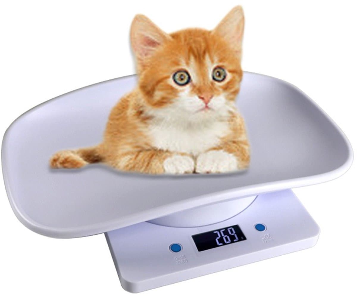 Digitale Huisdierweegschaal - 15 kg Capaciteit met LCD-scherm, Nauwkeurige Weging voor Kleine Dieren