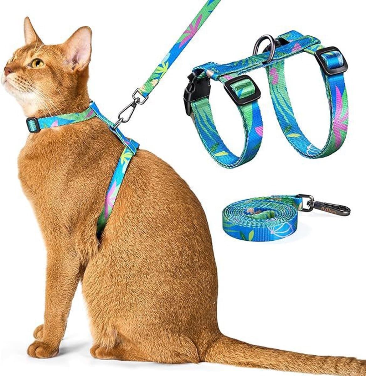Kattenriem - Wandelriem voor katten - Kattentuigje - Borsttuigje voor katten - Huisdierbenodigdheden - Geschikt voor de meeste katten - blauw - Halsomtrek 20-31 cm - Borstomtrek 26-43 cm - Touw 120 cm
