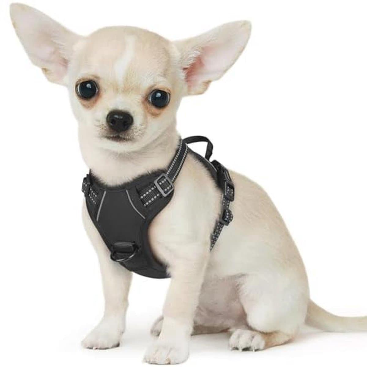 Hondenharnas No Pull voor Kleine Honden - Verstelbaar, Reflecterend en Gewatteerd, Comfortabel en Ademend – Anti-Trek Hondentuigje