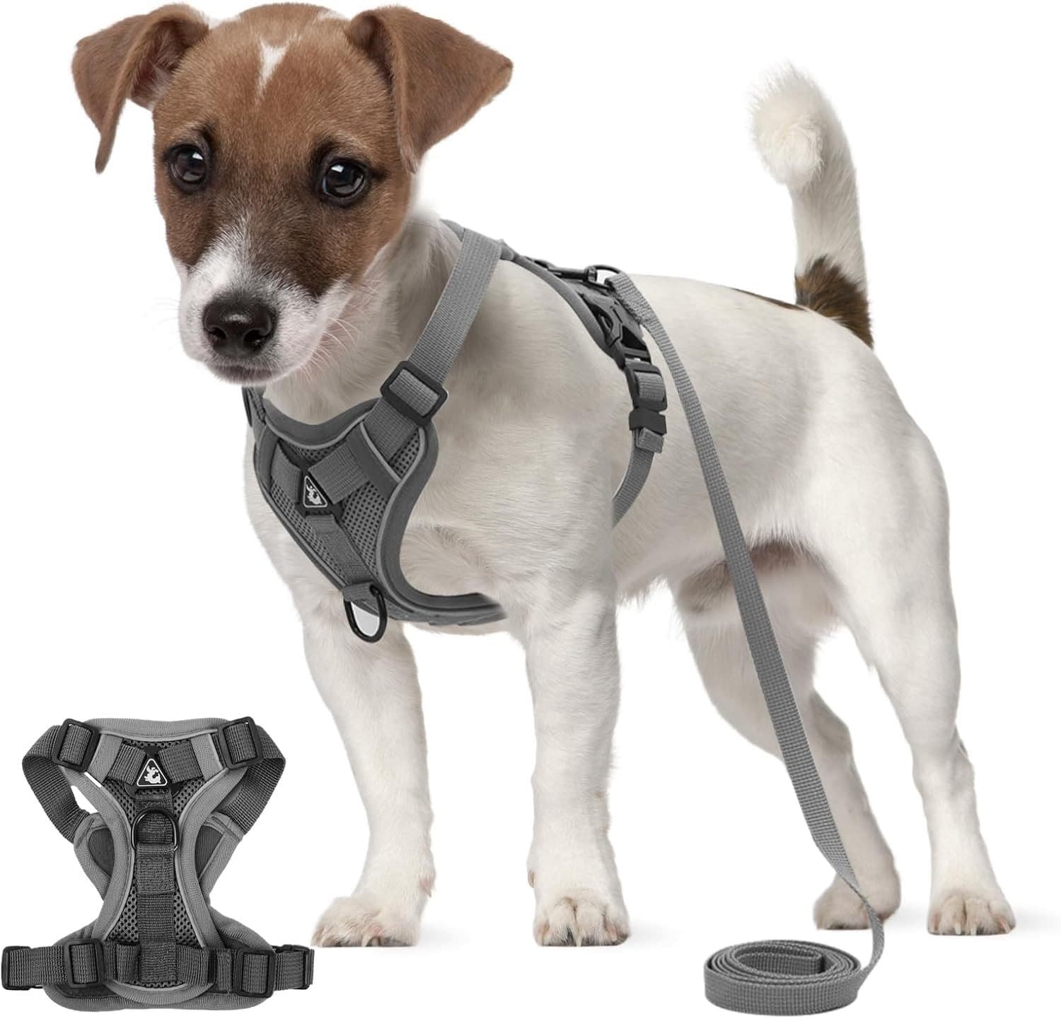 Verstelbaar en Ademend Hondenharnas voor Middelgrote en Grote Honden met Reflecterende 1,5m Leash voor Training en Wandelen