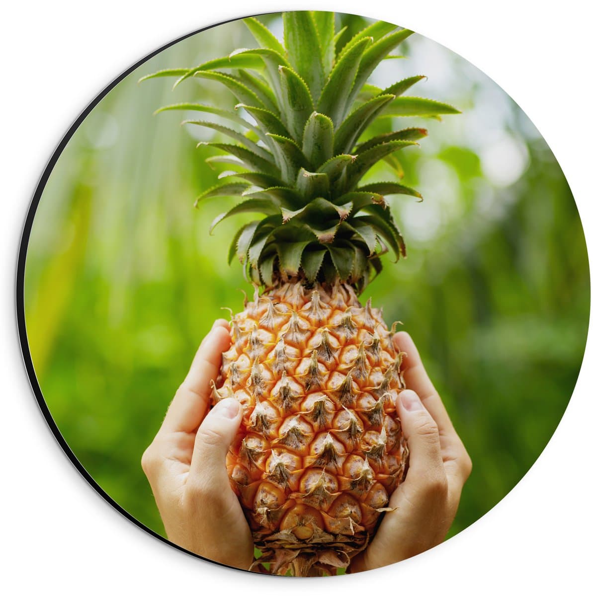Dibond Muurcirkel - Verse tropische Ananas in Mensenhanden - 20x20 cm Foto op Aluminium Muurcirkel (met ophangsysteem)