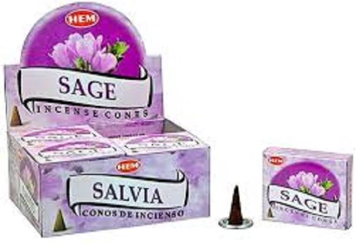 HEM Wierook Kegel Salvia (12 pakjes)