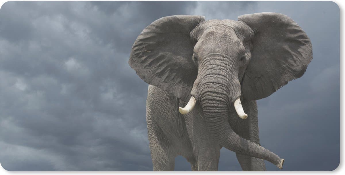 Muismat XXL 120x60 cm - Bureau onderlegger - Bureau mat Olifant - Wolken - Dieren - Natuur - Bureaumat - Gaming mousepad xl - Bureaulegger groot - Computer deskmat