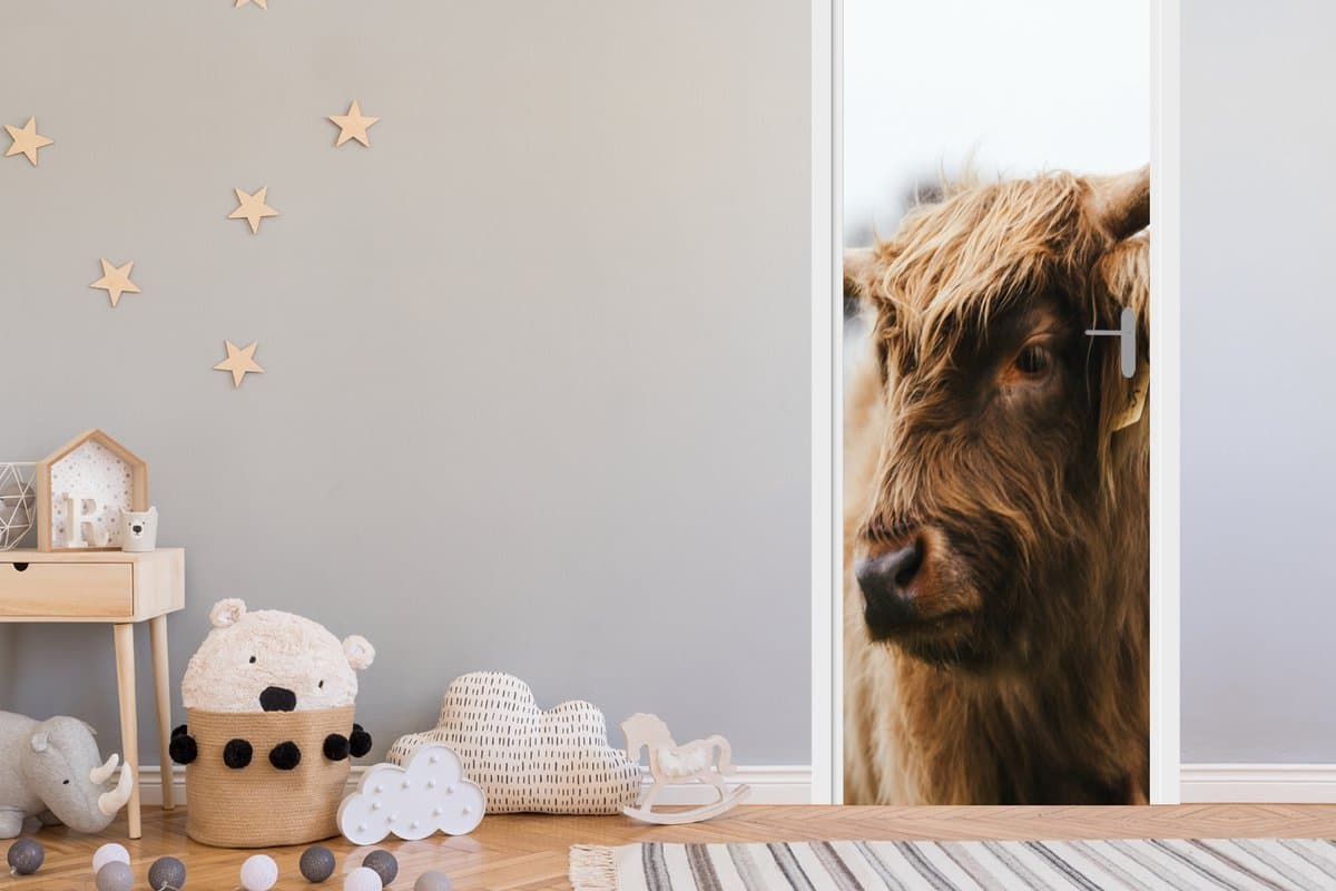 Deurposter 85x215 cm - Deursticker Schotse Hooglander - Dieren - Horens - Meubelfolie zelfklevend - Deurfolie woonkamer - Interieurfolie fotobehang - Deur plakfolie - Deurstickers - Deurbehang sticker - Kamer decoratie