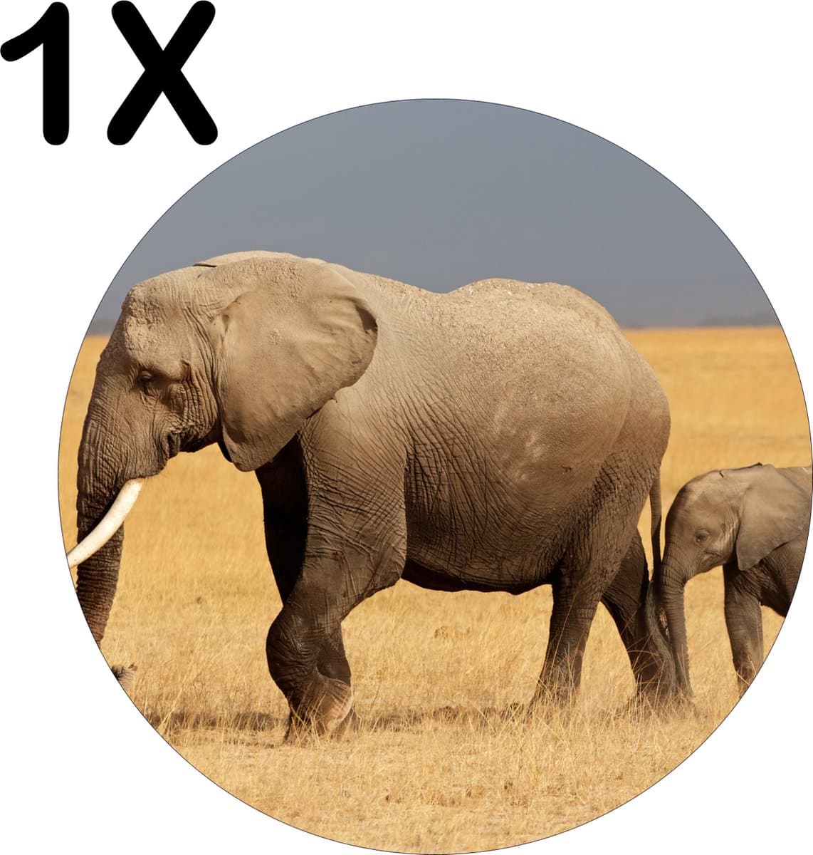BWK Flexibele Ronde Placemat - Olifant met Baby Olifant - Set van 1 Placemats - 50x50 cm - PVC Doek - Afneembaar