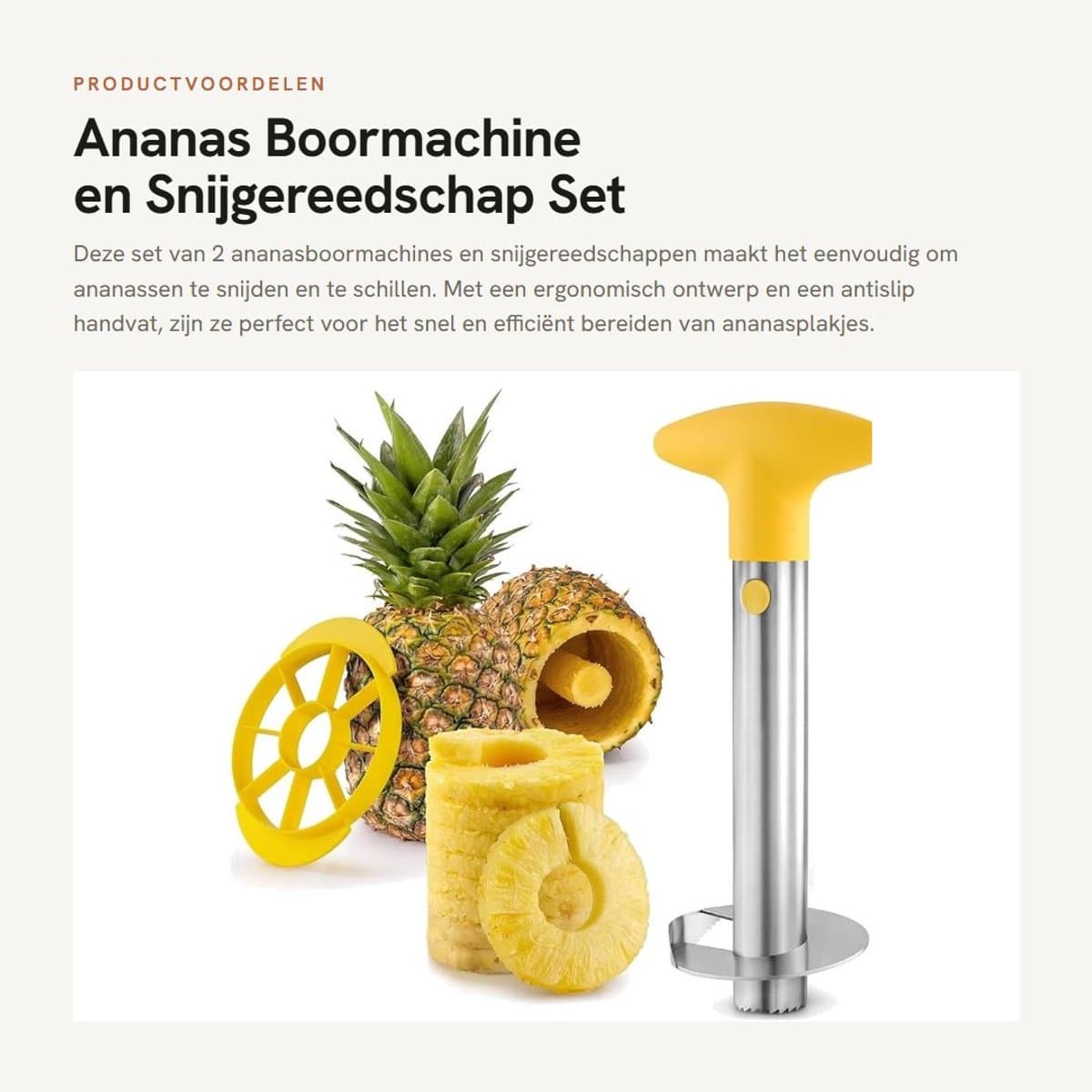 Dailygoods - Ananas Boormachine en Snijgereedschap Set van 2