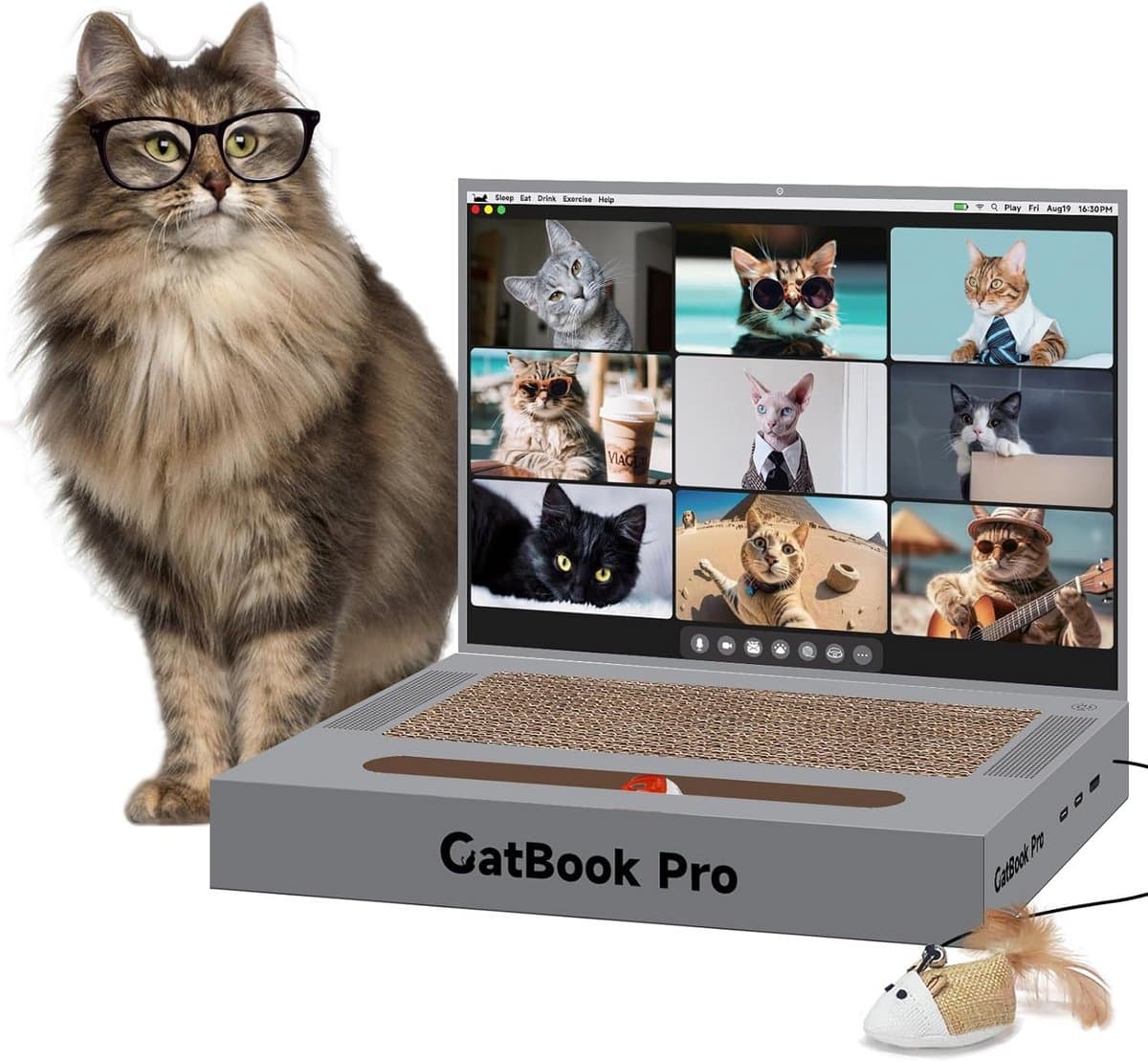 Katten Krabpaal in de Vorm van een Laptop met Speelgoedmuis