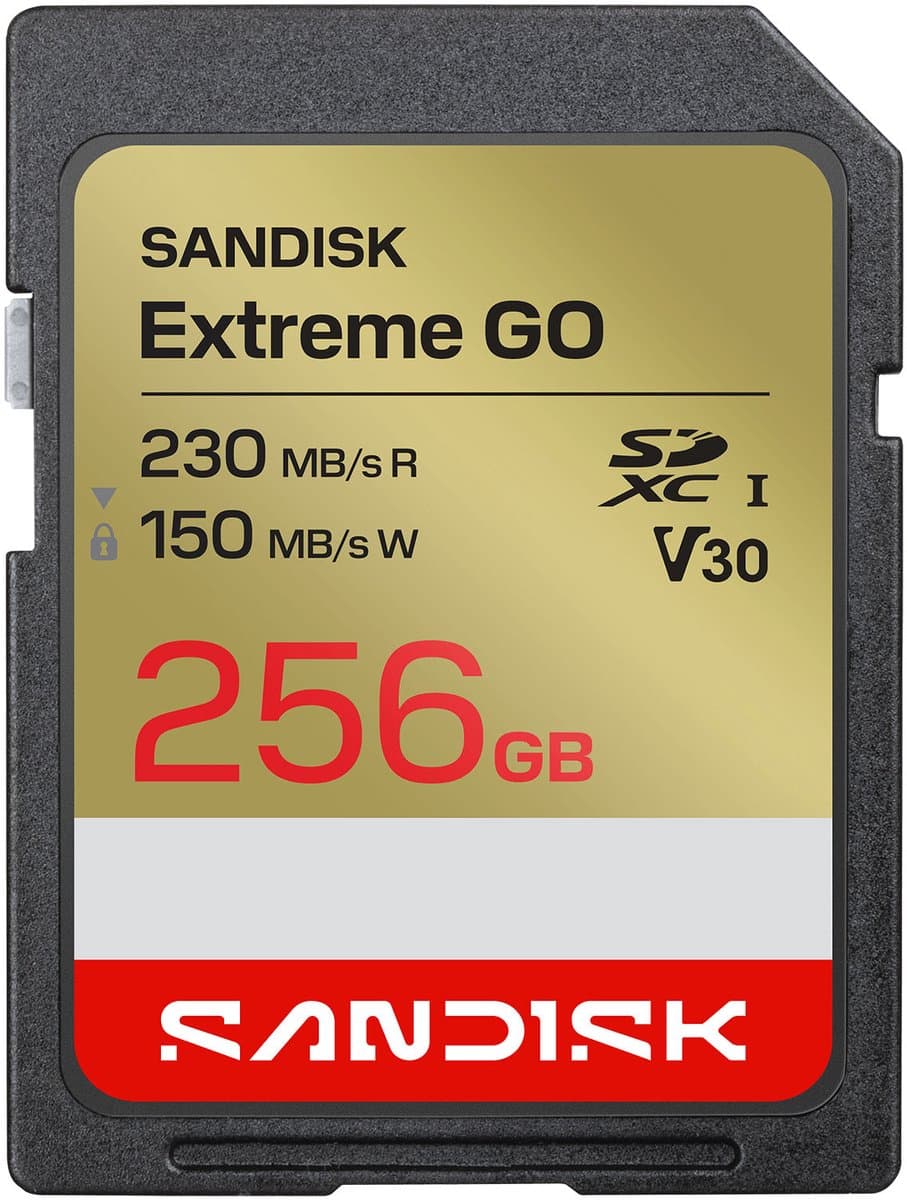 SanDisk SDXC Extreme GO 256GB (UHS-1, R 230MB/s / W150MB/s, 4K)