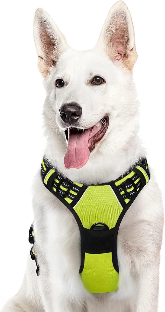 Verstelbaar, Gevoerde Hondenharnas met Handvat voor Grote Honden - Reflecterend en Ademend
