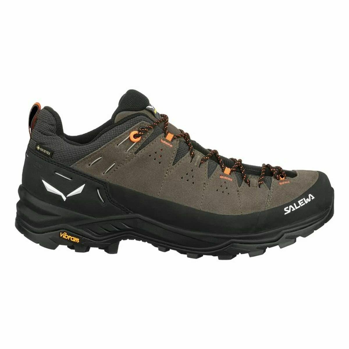 Sportschoenen Salewa ALP Trainer 2 GORE-TEX Berg Zwart - 43