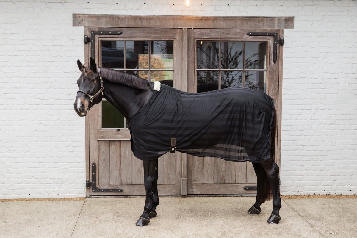 Kentucky Horsewear - Licht Mesh Vliegendeken zwart 125-5'9