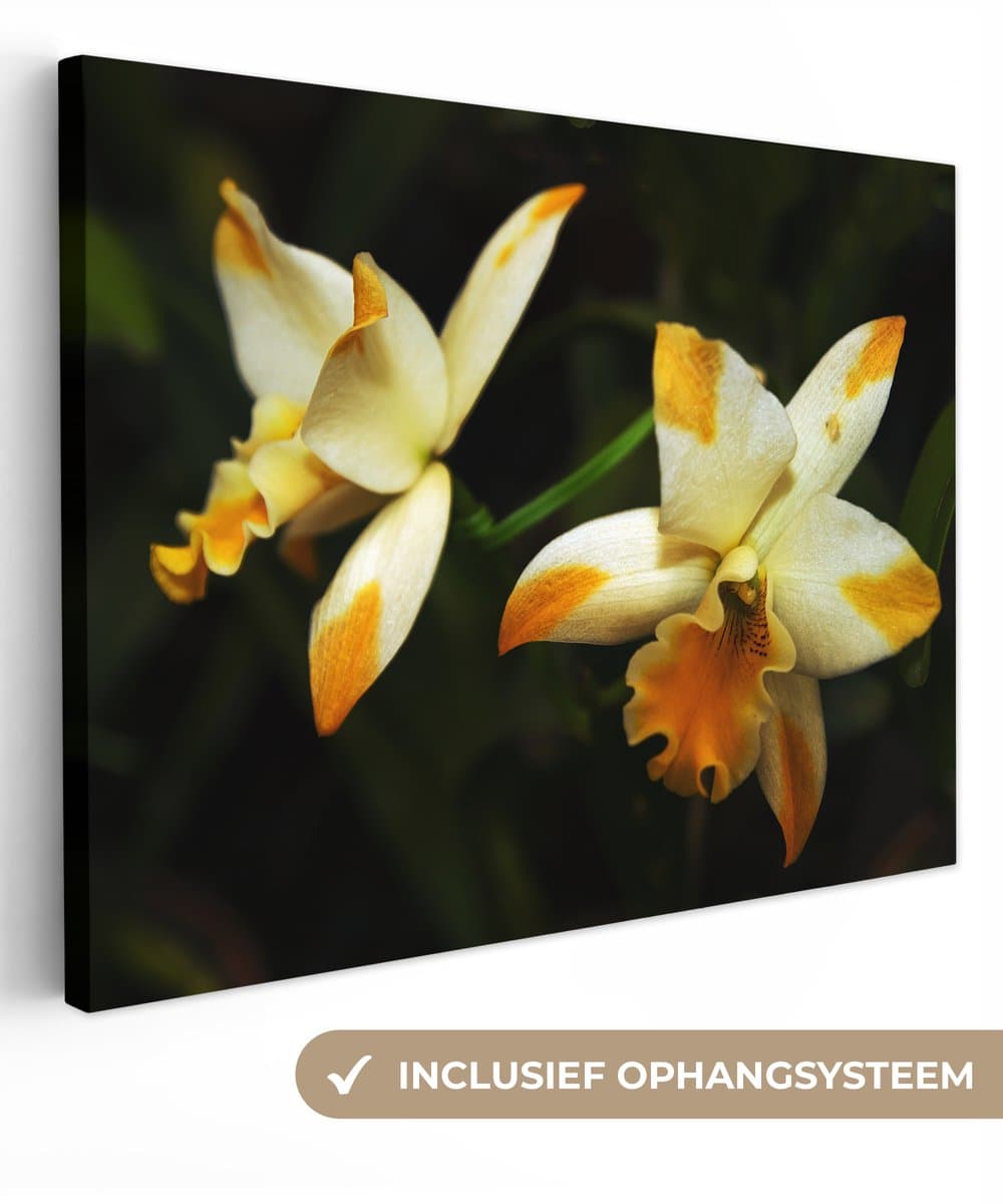 Canvas schilderij 40x30 cm - Wanddecoratie Twee orchideebloemen - Muurdecoratie woonkamer - Slaapkamer decoratie - Kamer accessoires - Schilderijen op canvas