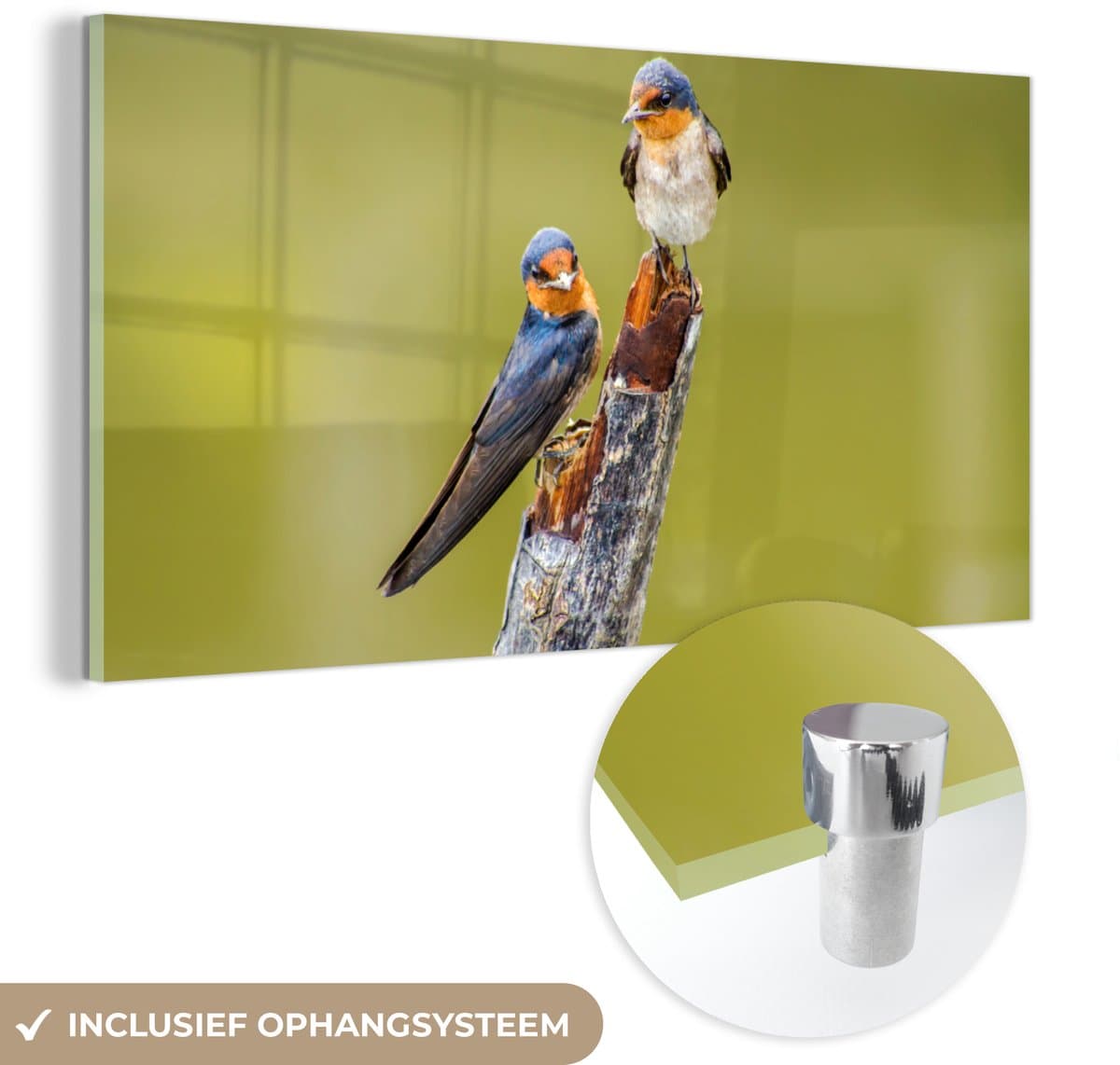 ® Glasschilderij 80x40 cm - Schilderij acrylglas - Vogels - Tak - Portret - Foto op glas - Muurdecoratie woonkamer - Wanddecoratie slaapkamer - Schilderijen