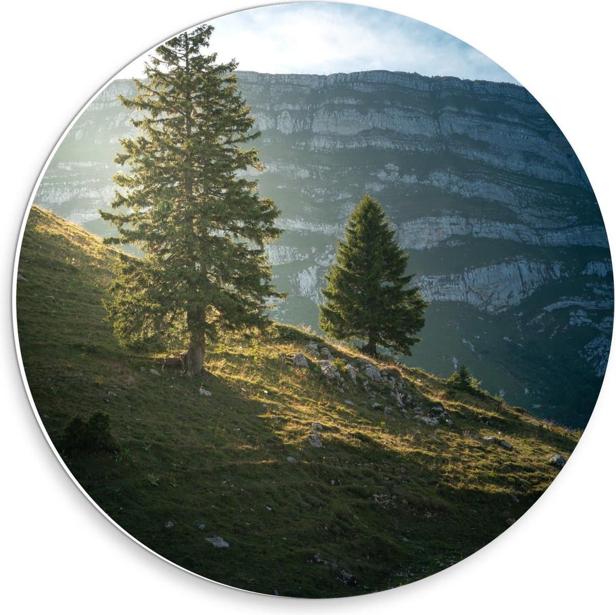 Forex Wandcirkel - Bergen met Bomen en Zonlicht - 30x30cm Foto op Wandcirkel (met ophangsysteem)