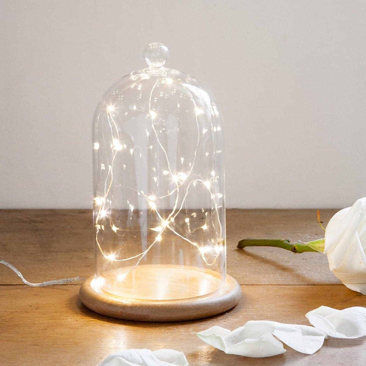 Decoratieve Glazen Bel - Glazen Koepel - Sfeerverlichting Creëren - Inclusief Lichtketting - 19 cm Hoog - Wit
