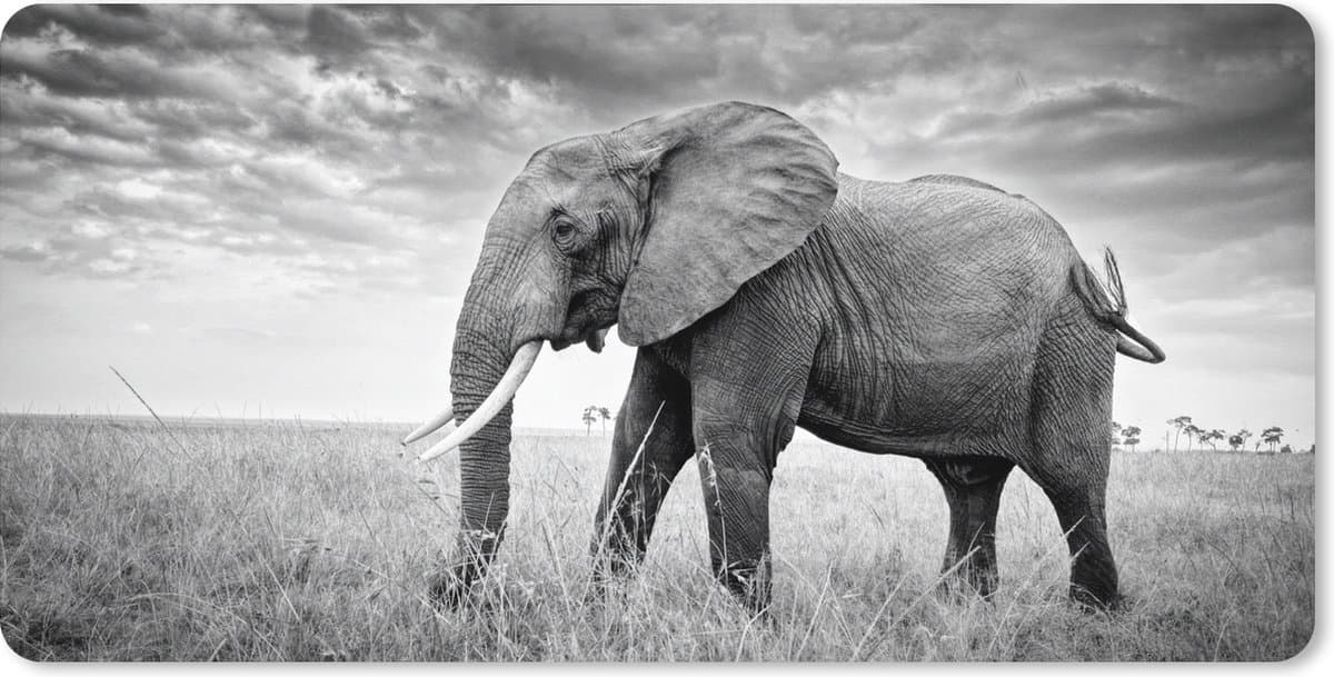 Muismat XXL 120x60 cm - Bureau onderlegger - Bureau mat Olifant - Gras - Dieren - Zwart wit - Bureaumat - Gaming mousepad xl - Bureaulegger groot - Computer deskmat