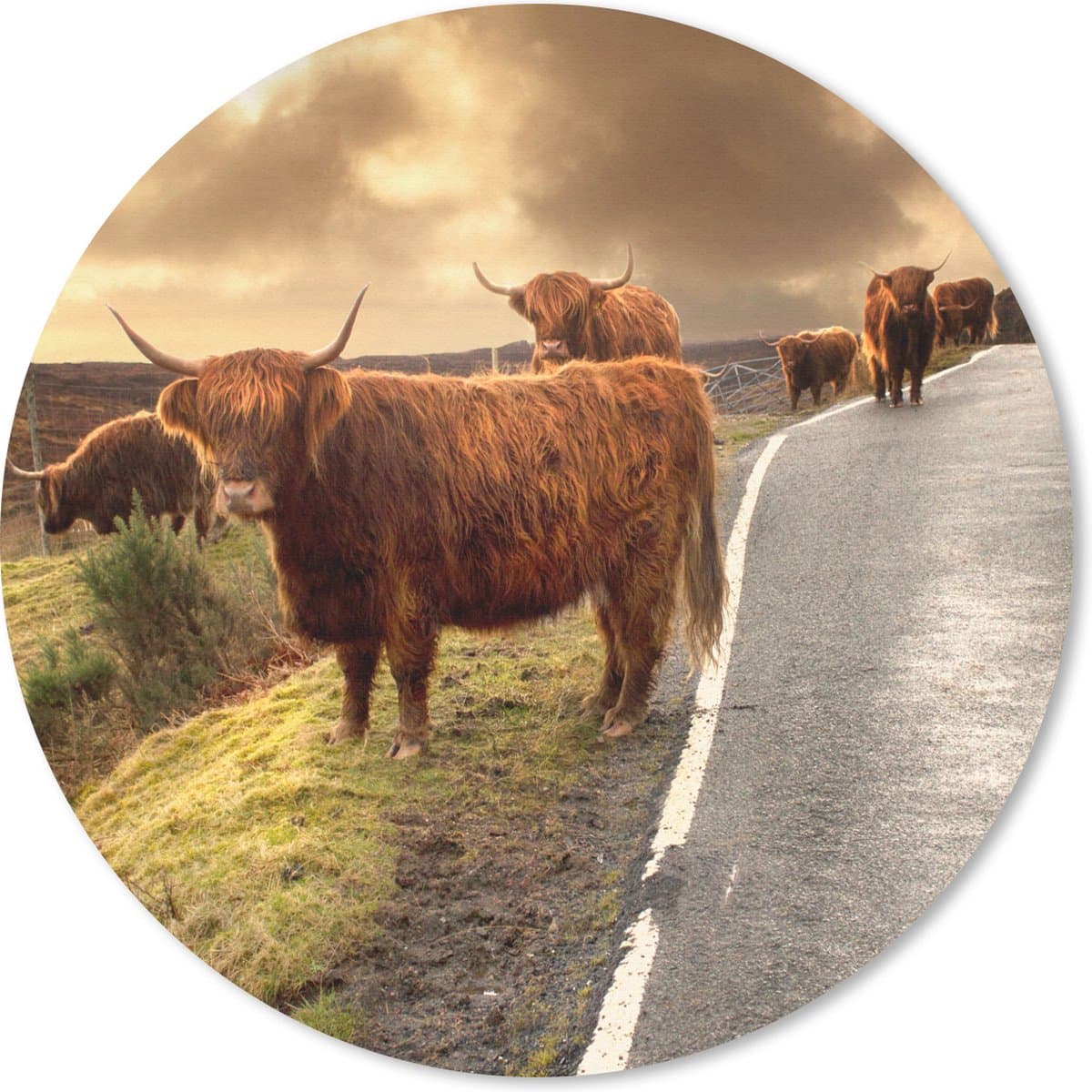 Muismat rond 40x40 cm - Mousepad Schotse hooglanders - Lucht - Weg - Ronde muismatten