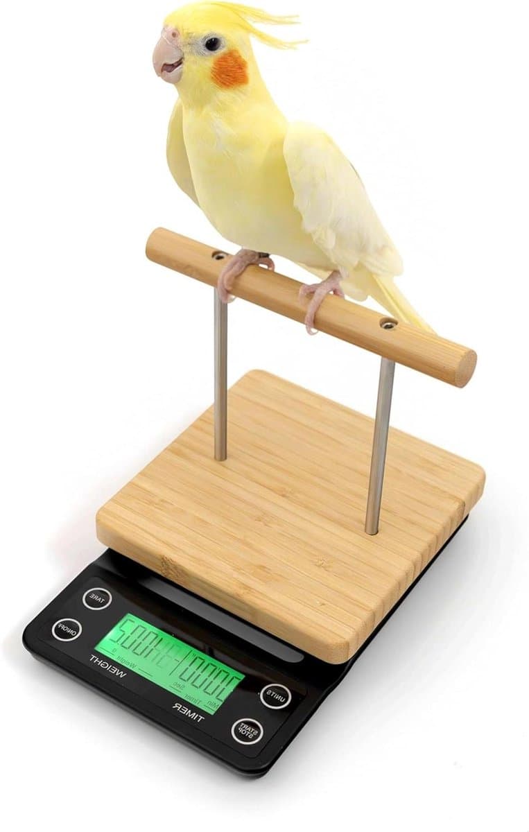 Vogel Weegschaal - Vogel Balans - Gezondheid Monitoren - Nauwkeurig tot 0.01g - 3 kg Capaciteit - Wit