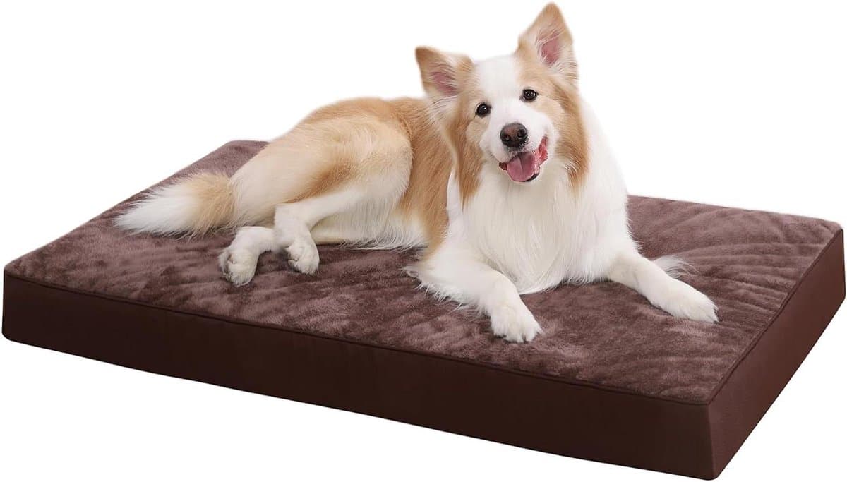 Hondenbed - Hondenmatras - Comfortabel Rusten - Orthopedisch Schuim - 88 x 55 cm - Chocoladebruin