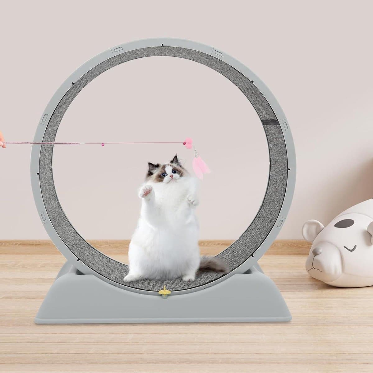 Kattenloopfiets - Roltrap Kat - Binnen Spelen - Stille Constructie - 80 cm - Grijs